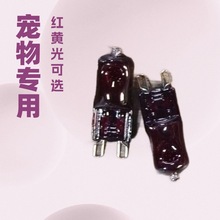 ±ص ɫߵƹ G9120V/220V 25W 40W50W 60W