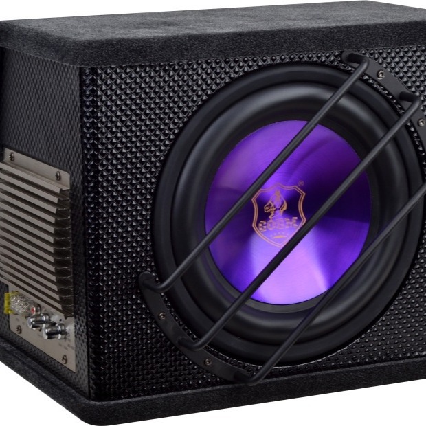 Car Subwoofer 10inch / Active Subwoofer / Car Subwoofer Speaker / Speaker
