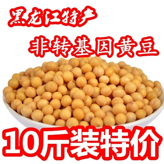24年新大豆 5kg 5kg 東北大豆 農園産全粒豆乳もやし 非遺伝子組み換え大豆|undefined