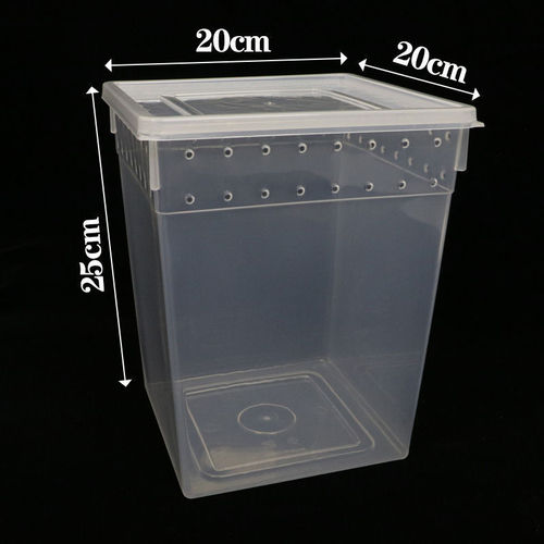 Tree-dwelling insect rearing box, pet cage, silkworm spider, frog, gecko box, lizard pet supplies, snake, insect.