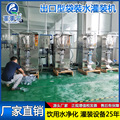 广东江门全自动小型袋装水包装生产设备袋装水机袋装矿泉水灌装机