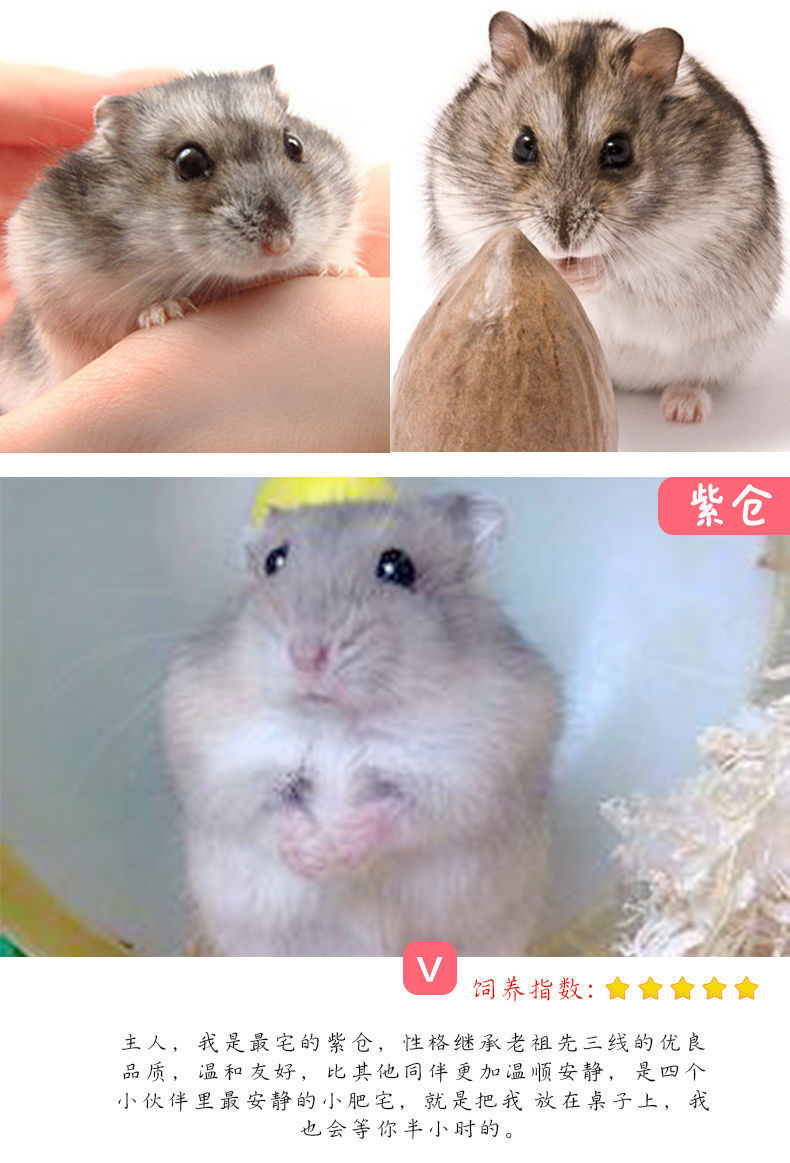 da0b229a-6288-4743-806c-8cfa537fce6e.jpe