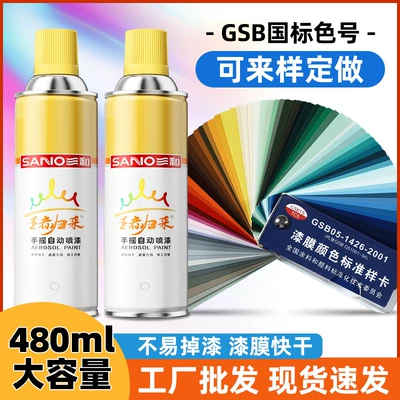 Avtomobil boyası National Standard Color Card 480ml Spray