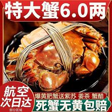�r����lз��ĸ�з�ش�з���r���rˮ�a�Y���b���K6/12ֻ�羳���