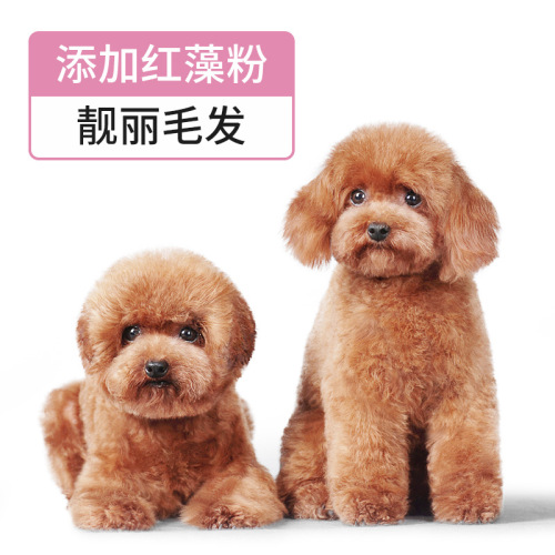 Special dog food for pets, small puppies, adult dogs, universal teddy, Bichon, Corgi, Pomeranian, French bulldog, full price food