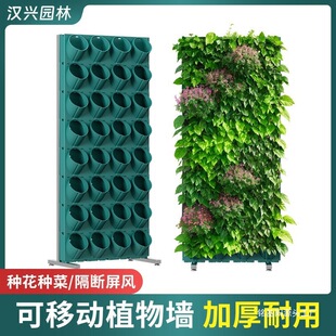 �Nֲ�ƄӑҒ컨����̨�̨�N�˶��Ӽ�ֲ����L��ݮ�߲����w����