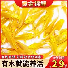 �S���\�����~�^�p�~��ؔ�~С�ͼ��N���P�\�����B�ͻ�t���~��ˮ�~