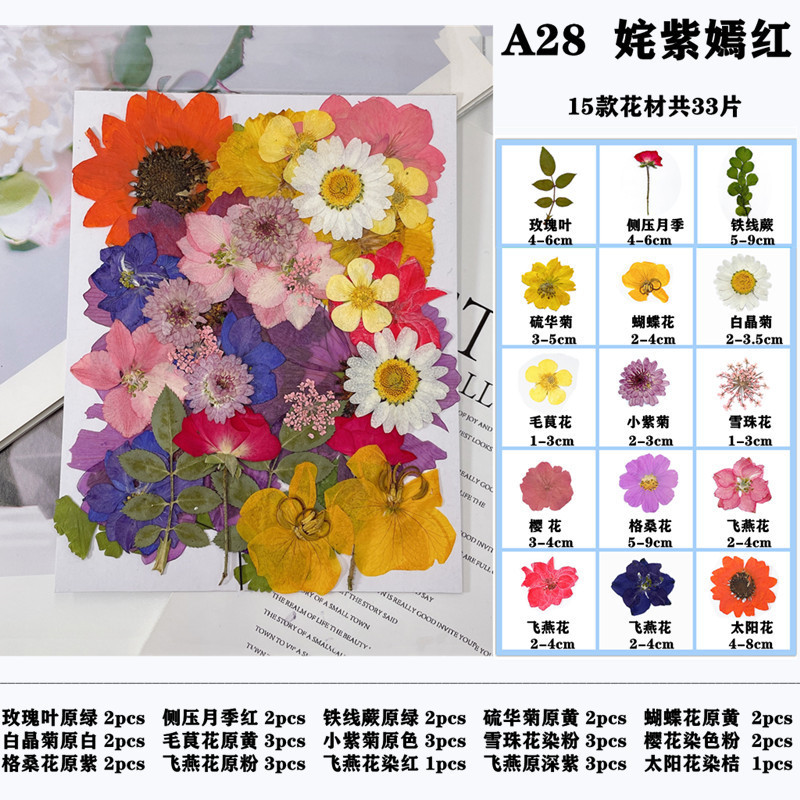 干花压花材料包 diy押花相框书签滴胶手机壳脸部贴花真花植物标本|undefined