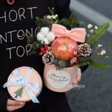 ��ݮ������ͰС̖�ڰ��yɫdiy���b�廨�л���С�AͲ��ˇ���b�պ�