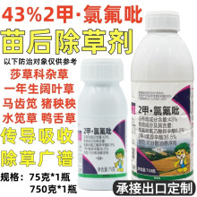 韸43%24Ȯȷˮɯ~ݳ݄