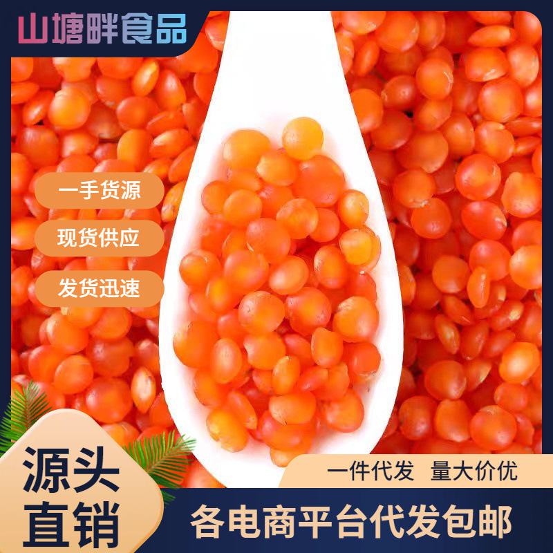 红扁豆土耳其进口宝宝豆新鲜红小扁豆番茄豆兵豆马粟豆五谷粮