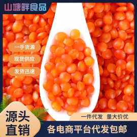 红扁豆土耳其进口宝宝豆新鲜红小扁豆番茄豆兵豆马粟豆五谷粮