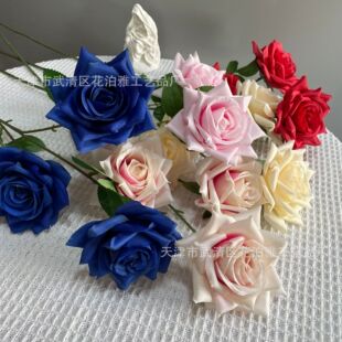 ��c���滨3�^��õ�ٻ���Y�����b�޲廨·�����Ż������l�����G