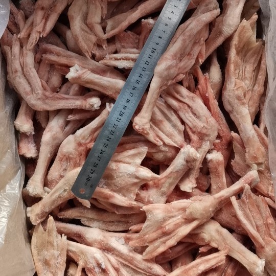 16~18个1公斤大鹅脚大鹅掌无断脚无淤血广州发货明到