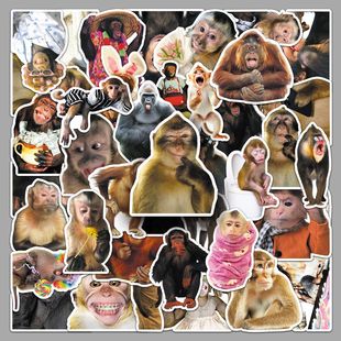 50����Ц��D������N������ĺ������ɸ�ַ�ˮ�bPӛ���N��