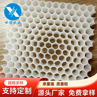 Shixin Eurasian Manufacturer Wholesale Various Styles of Pp Plastic Honeycomb Shaped Filter Nets, White Pp Honeycomb