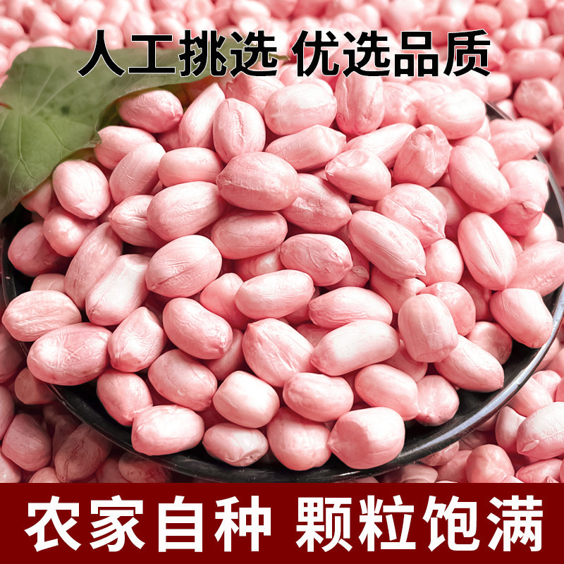生花生米商用批发价白沙红皮花生米生本地高产花生种籽子油炸水煮|undefined