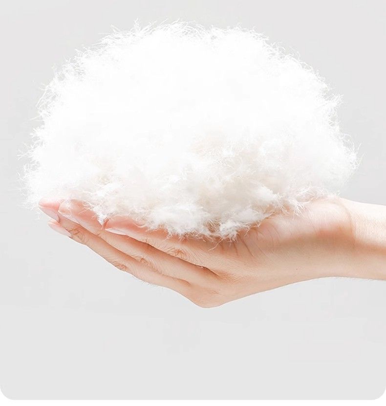 732014c6-7c85-4350-af10-545e9d5343bd.jpe