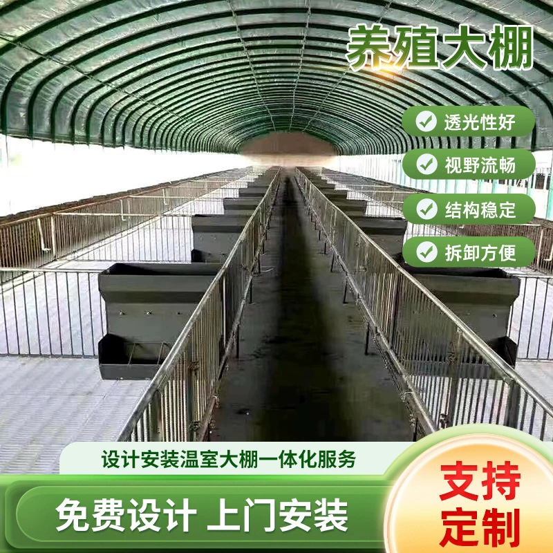 Полный набор больших площадей для разведения цыплят и уток для разведения цыплят для разведения животных и растений для разведения сельскохозяйственных теплиц