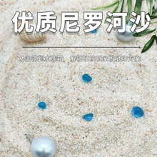 天然尼罗河沙化妆沙水草缸南美缸鼠鱼底砂鱼缸造景细河沙黄色细沙