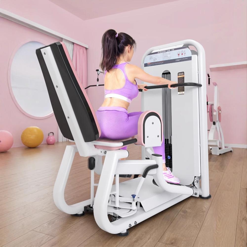 Máquina de tracción de alta y baja máquina de moldeo comercial, máquina de puente de cadera interna y externa, conjunto de cinco piezas