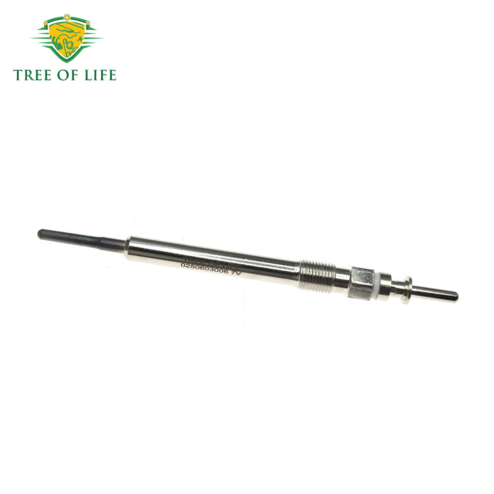 0250603006,12230035934,12237803368 are suitable for Mini Cooper Toyota glow plugs