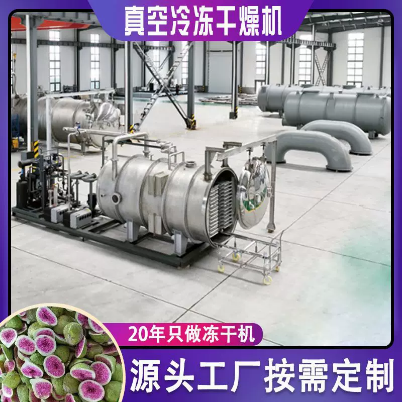 中药寖膏冻干机 活性菌蛋白粉低温冷冻干燥机 低温冻干驼奶粉设备