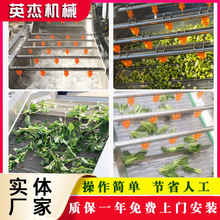 全自动果蔬气泡清洗机水果海带红枣萝卜海参大姜洗菜机