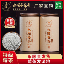 莓茶永顺张家界特级野生湖南藤茶芽尖美丽湘西霉土家族官方旗舰店