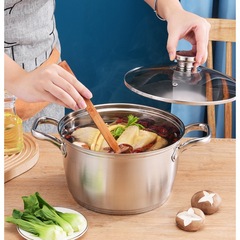 Stainless steel pot without magnetic, household special thick induction cooker soup pot rice cooker pot, milk bottle sterilization pot, gas stove double-ear pot