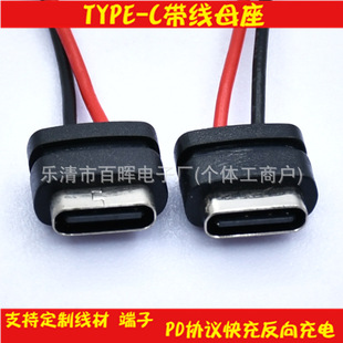 CE�J�CType-Cĸ�����t�ھ� TYPE-C����B���� 2P USB-C ĸ�^����