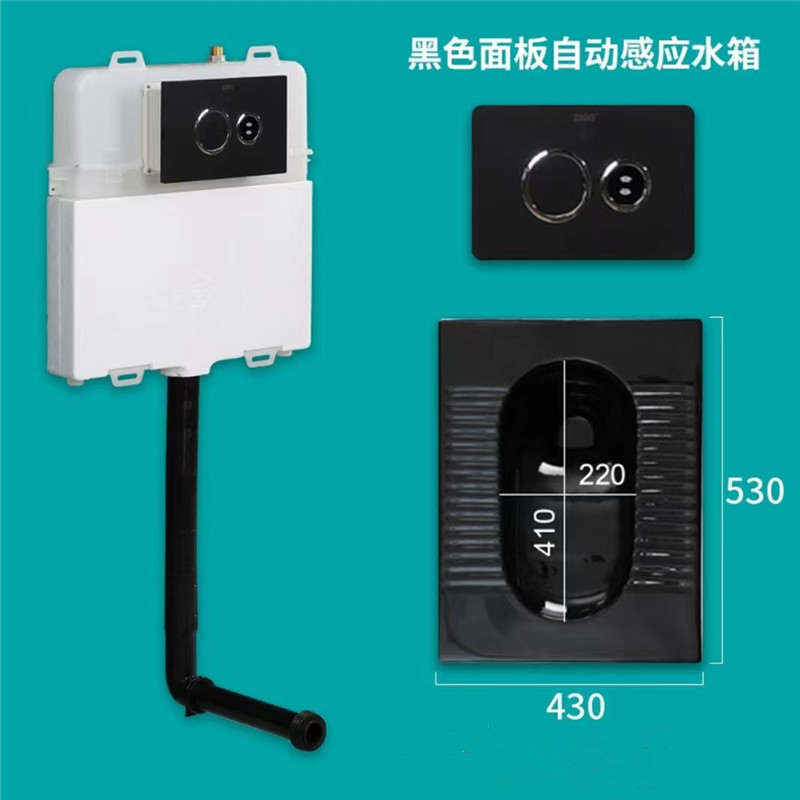 In-wall-type induction water tank + black ceramic squat pit