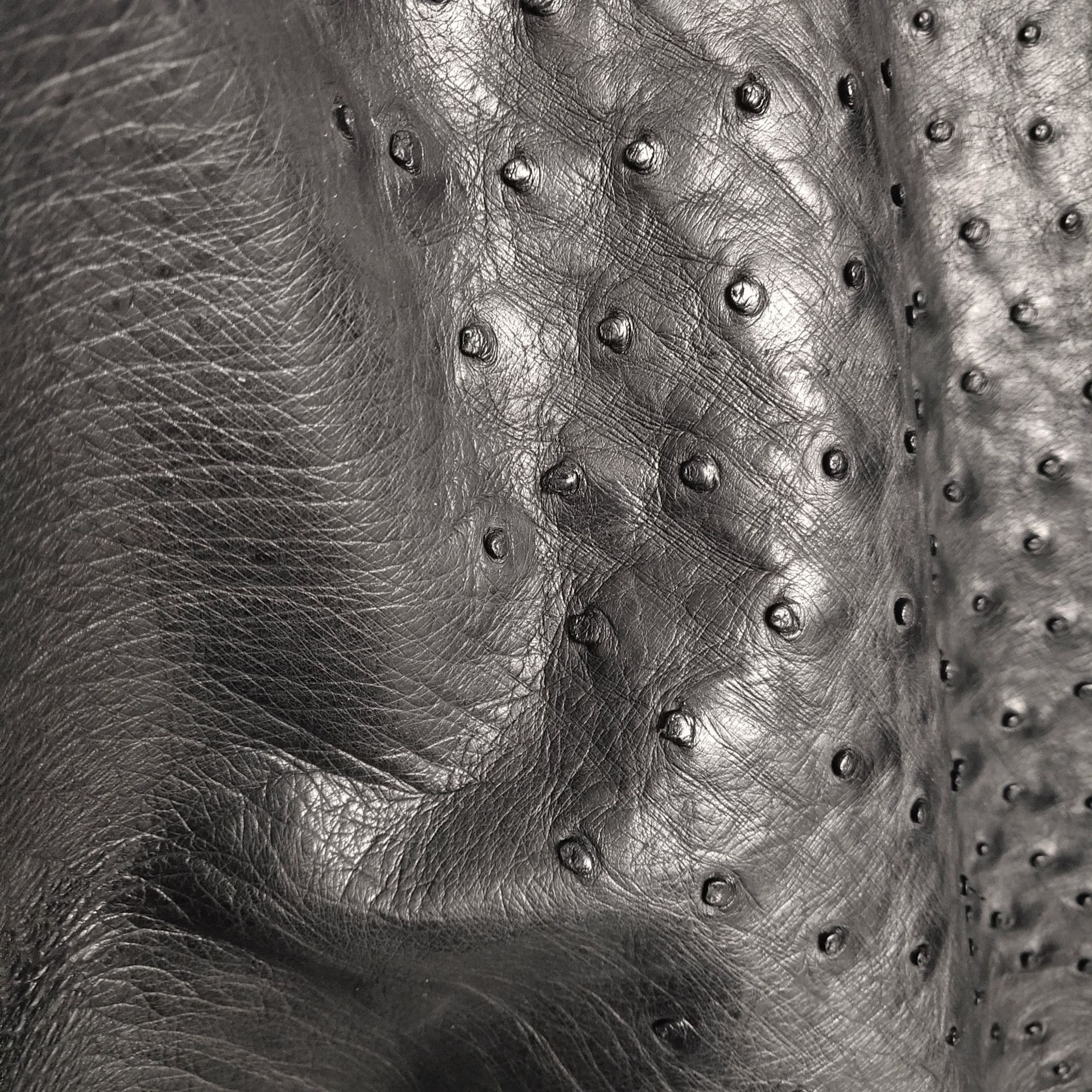 黑色真鸵鸟皮现货供应头层真皮带雪茄包手袋 钱包鸵鸟