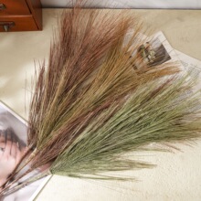 �[�F�Rβ�ɿ羳���滨�S�Ҽٻ��Gֲ�����l��c�b�ˇƷINS�L