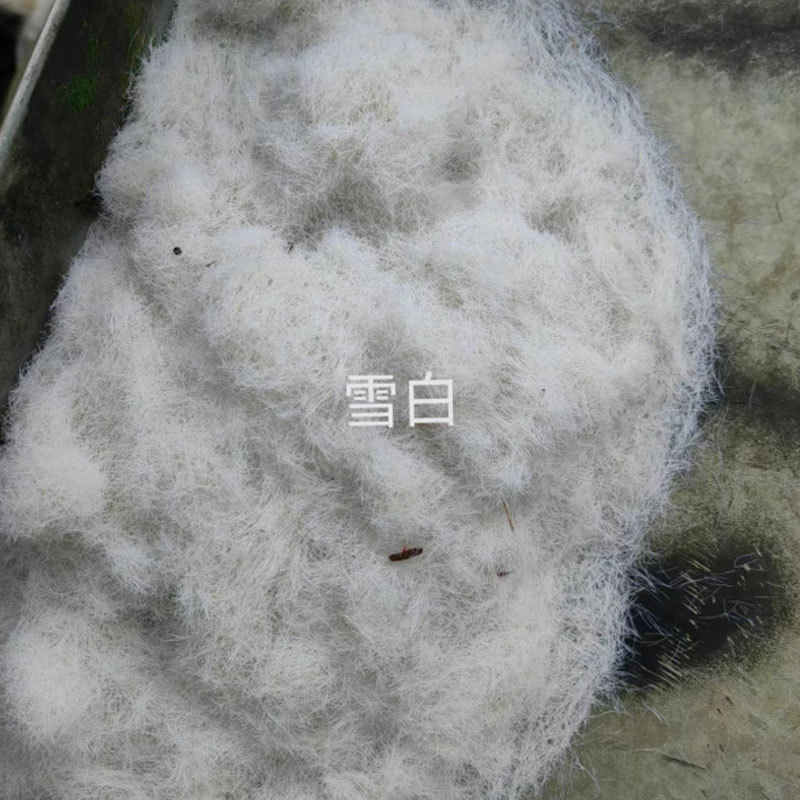 4ae9164bd31de9a7ba7859c9e3b8a0