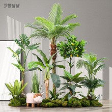 可代发 室内大型假绿植景观装饰客厅墙角椰子树落地植物造景