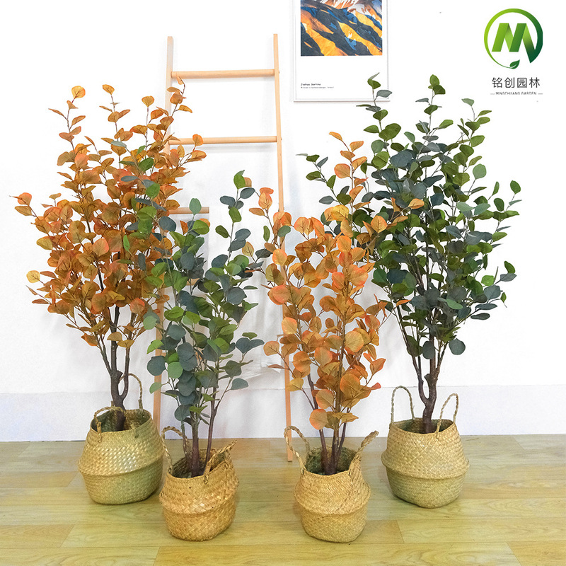 Scandinavian Style Simulated Money Tree Potted Plant Window Floor-Standing Green Plant Cross-Border Money Leaf Bonsai Simulated Eucalyptus