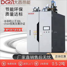 大西燃气蒸汽发生器天然气热水锅炉商用蒸气食品两用大型酒店设备