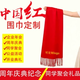 围巾;广告衫T恤;冲锋衣、裤