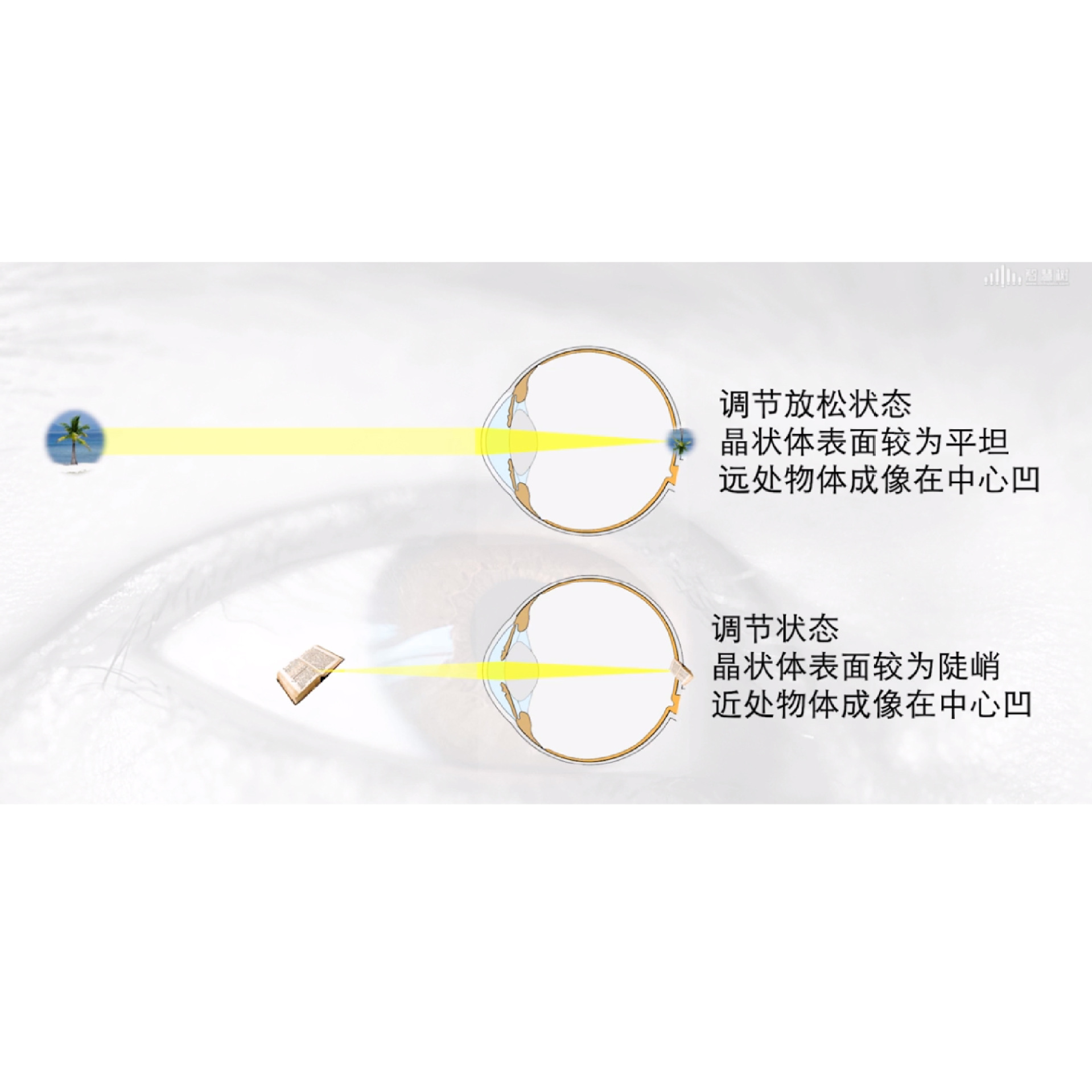 ���Ӽ�����ص��о���չ  �γ�����