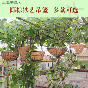 Ҭ�ص���A�ε��@������h�����������Gֲ�G�}���m����