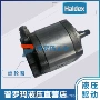 瑞典wm09a1haldex风扇齿轮泵