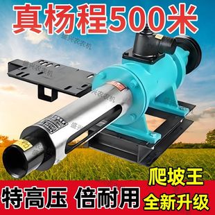 Lldiesel Alpine Pump 1000m Ultra-High Pressure Water Pump Farmland Irrigation Screw Pump Air-Cooled High Lift Water Pump