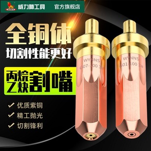 Power Lion Cutting Mouth Annular Plum Blossom Acetylene Propane Gas Liquefaction g01-30-100 Cutting Mouth W0217A