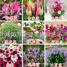 ���N�����l ̫ꖻ����ɝM���ǰ��ղݺ��B�P�ɻ���˹�ո��N���N��