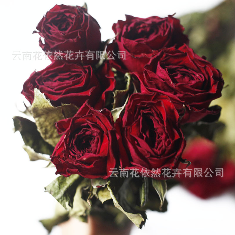 Flor seca Flor eterna Gypsophila Bola de oro No me olvides Flor seca Rosa hoja de eucalipto Pine Fruit Lover Grass al por mayor