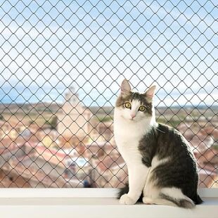 Factory Direct Sales Pet Balcony Safety Protection Net Cat Weighing Anti-Escape Net Transparent Anti-Jump Window Fence Anti-Fall Net