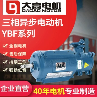 厂家定制YBF系列防爆电机三相异步电动机高压隔爆风机用节能高效