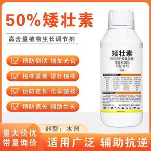 50%�����ذ���������С���޻�������������ֹ���Lֲ�����L�{����
