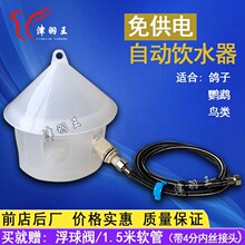 津羽王鸽具 全自动饮水器 自动上水 水壶 免供电鸽子用品